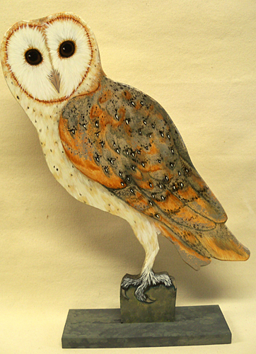 Barn Owl