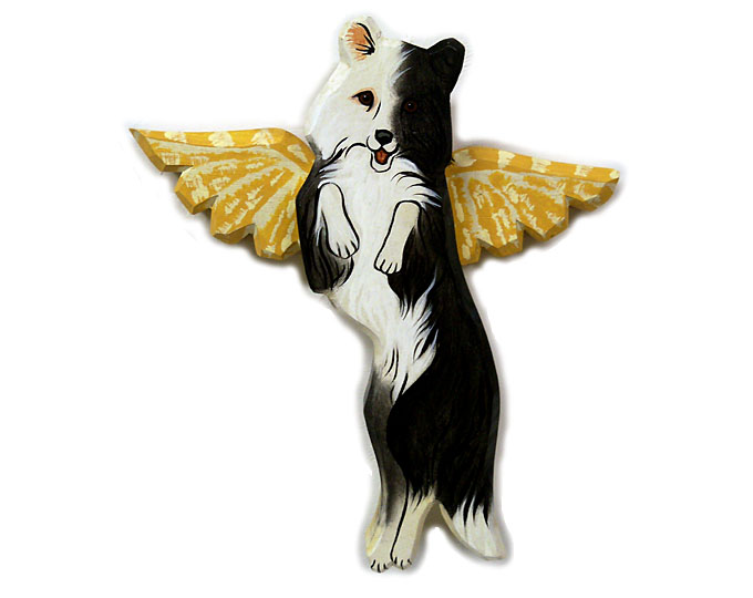 Border Collie Angel