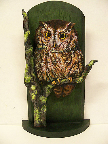 Screech Owl