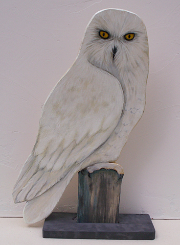 Snowy Owl